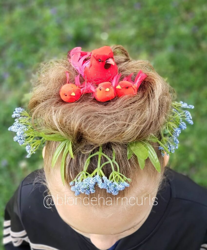 birds nest hair