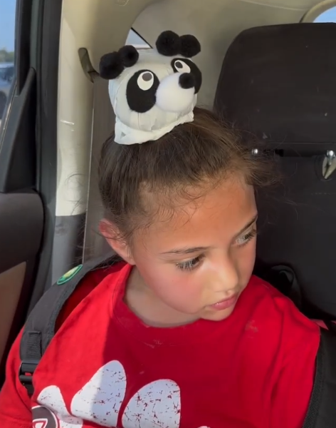 panda bear crazy hair day at school