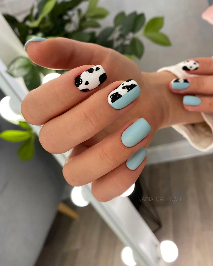 aqua & cow print