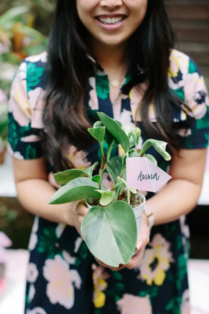 decorate a pot