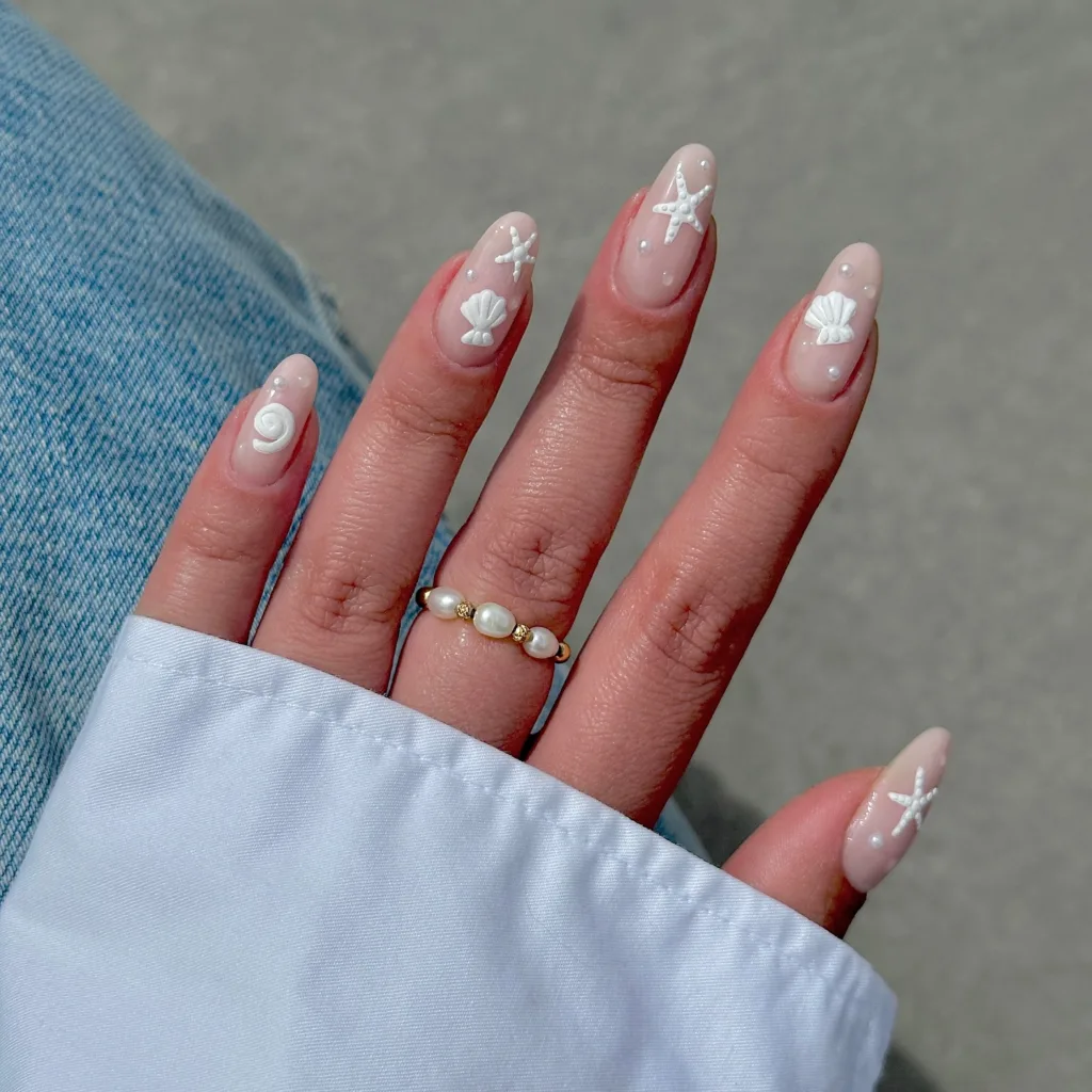 seashells & starfish