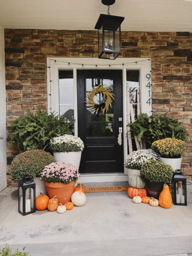 mums and pumpkins