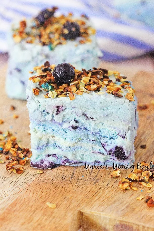 blueberry fudge bar