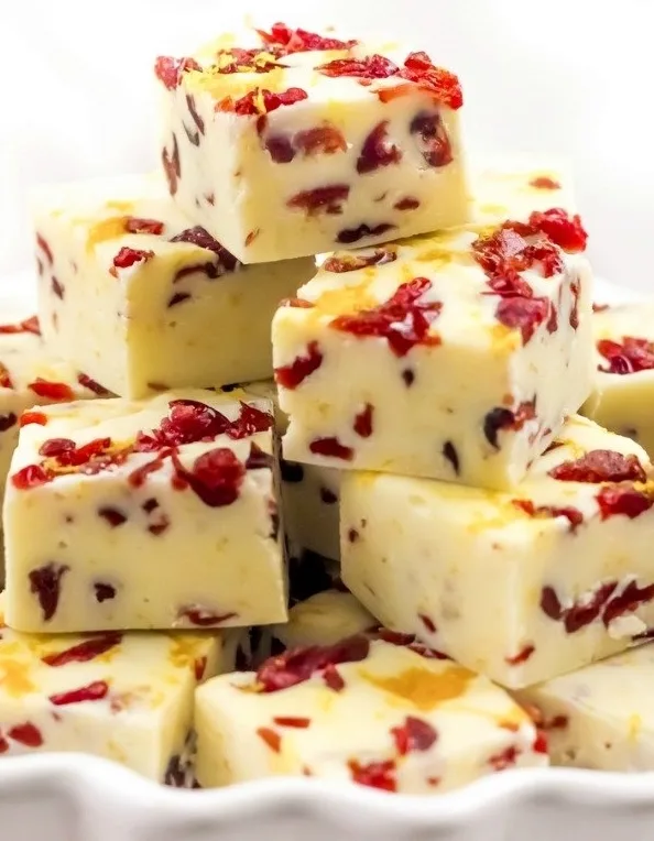 cranberry orange fudge