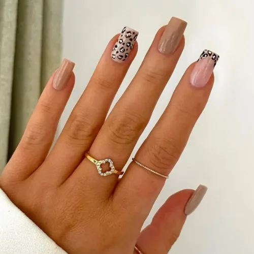leopard print nails featured