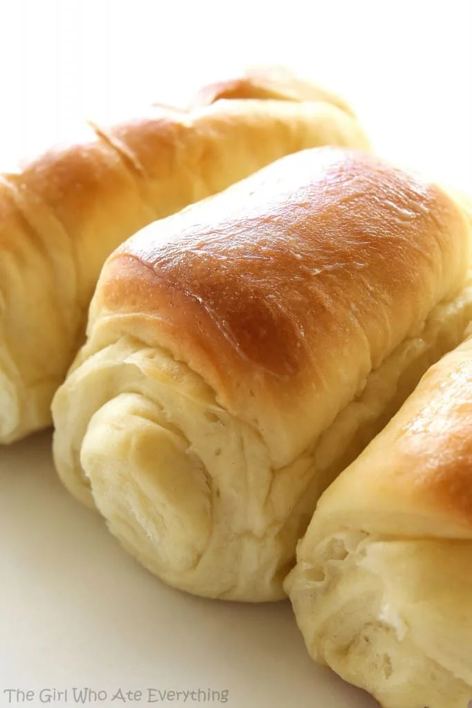 lion house rolls