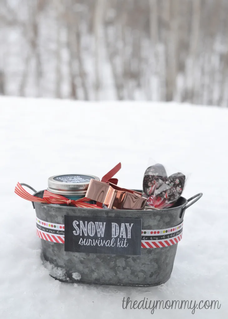 snow day survival kit
