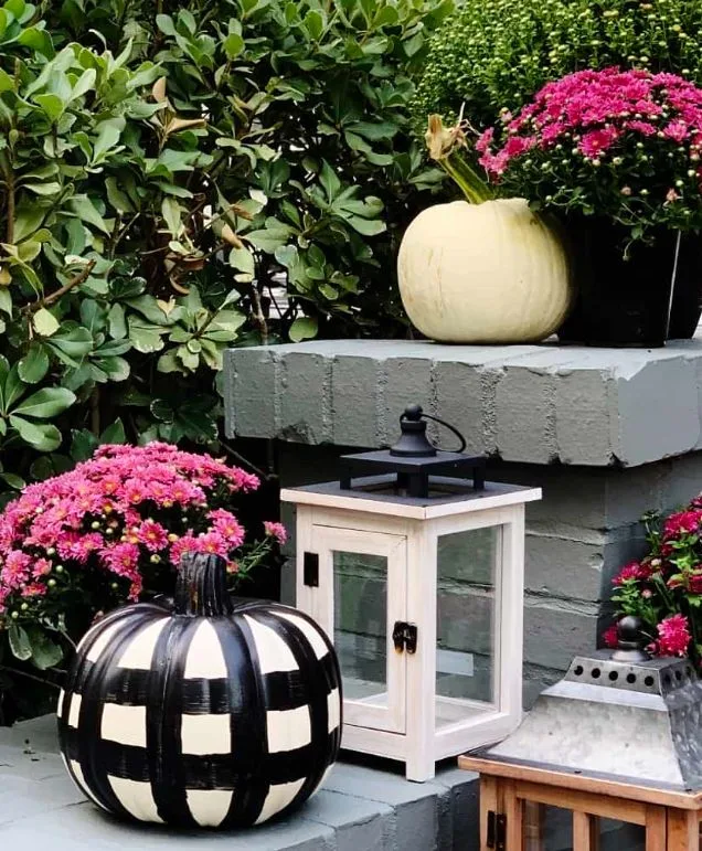 buffalo check painted pumpkins fall crafts for adults