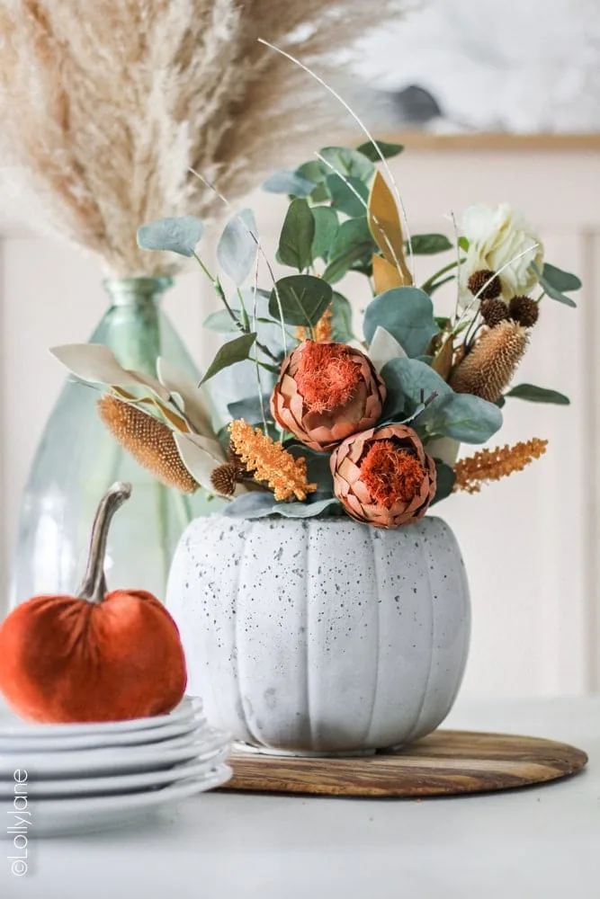 DIY concrete pumpkin planter filled with flowers for an easy fall decor project