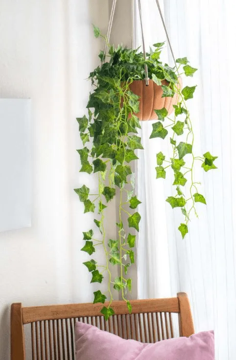 DIY hanging pumpkin planter with trailing ivy for creative autumn home decor