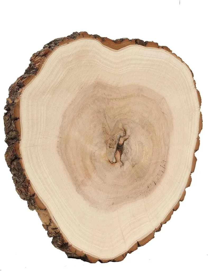 natural wood slice