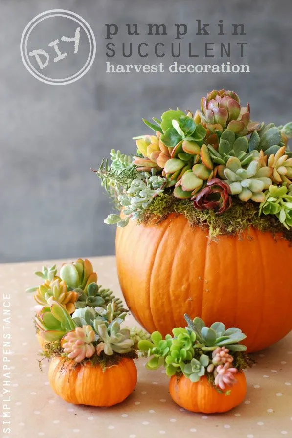 succulent pumpkin planters with moss for a colorful DIY autumn centerpiece
