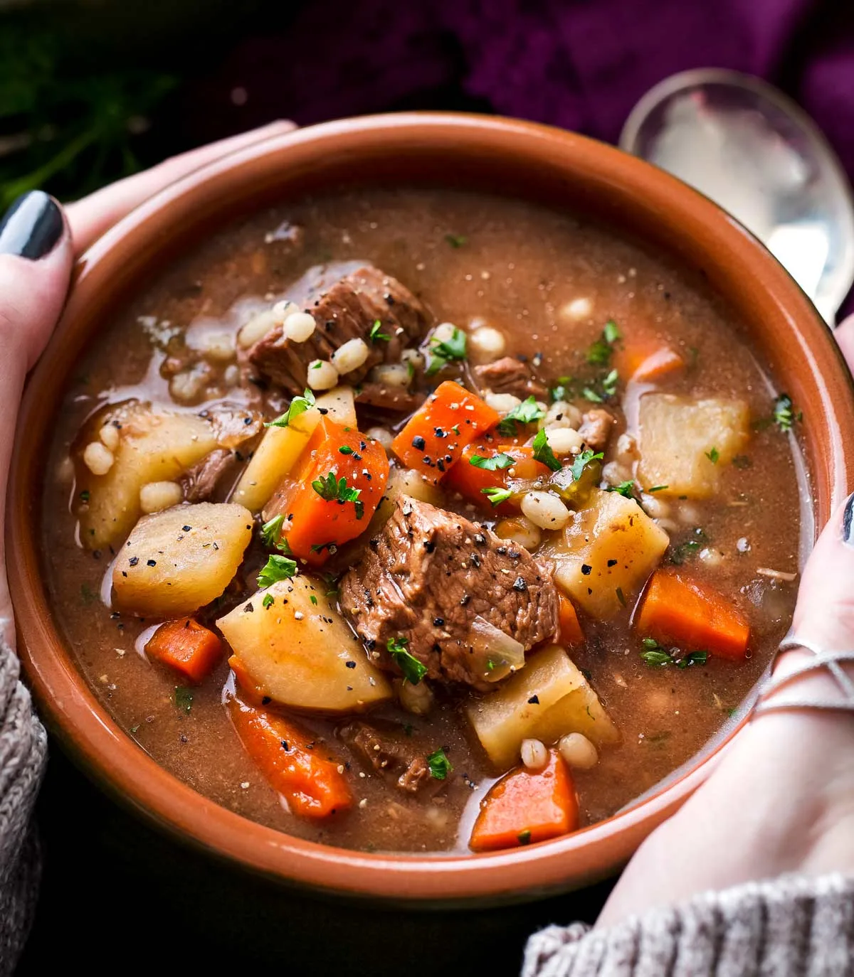 Slow Cooker Beef Barley Soup