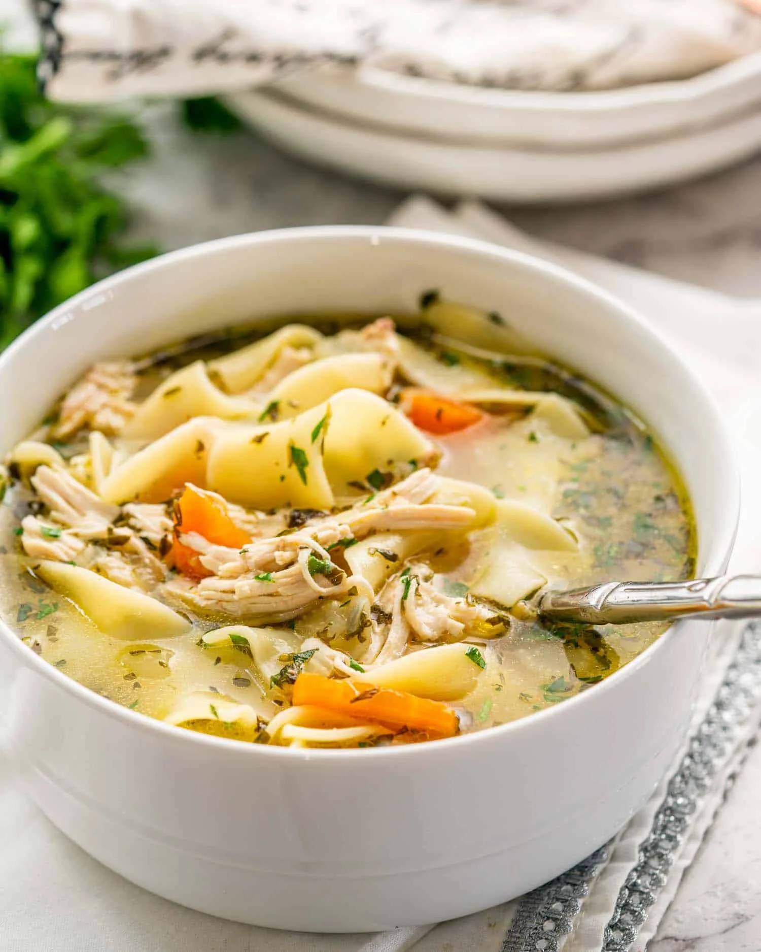 Instant Pot Chicken Noodle Soup